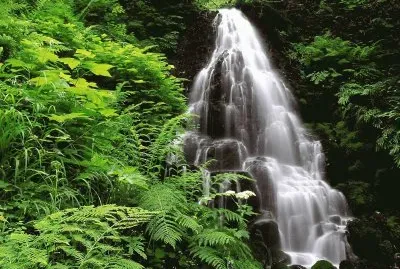 פאזל של bla bla bla