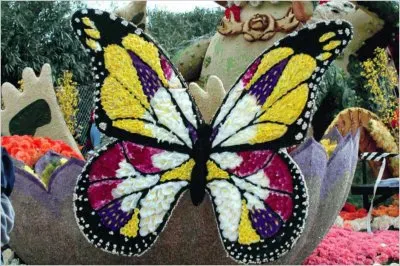 Pasadena Rose Festival  California  USA