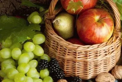 Fruites de tardor