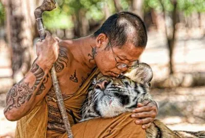 פאזל של Unidad