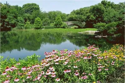 Central Park  New York