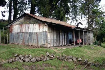 FaraÃ³n