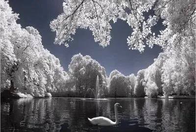 winter morning jigsaw puzzle