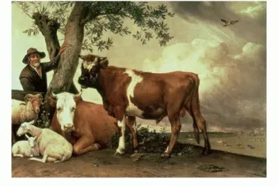 Paulus Potter  the young Bull