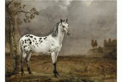 פאזל של Paulus Potter  The Horse