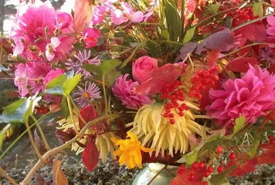 פאזל של Flors