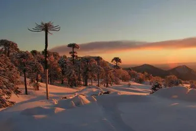 פאזל של Araucania - Chile