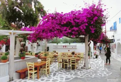 PRIMAVERA jigsaw puzzle