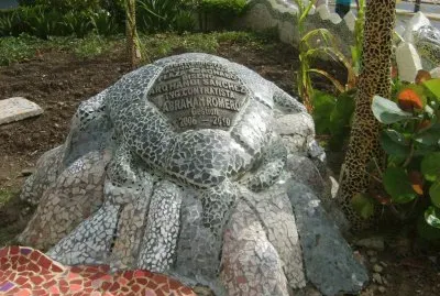 tortuga