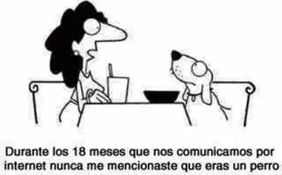 פאזל של curios