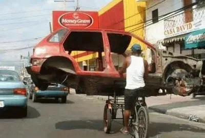 curios jigsaw puzzle