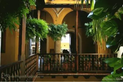 פאזל של FaraÃ³n