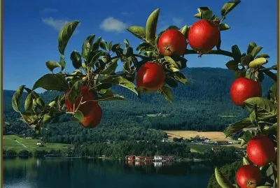 Austria