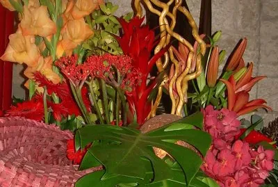 Flors