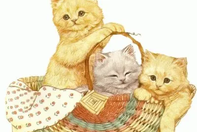 פאזל של Gatos