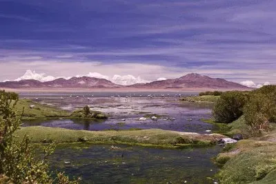 chile