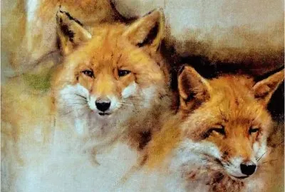 Rien Poortvliet famous Dutch painter