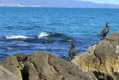 Sant MartÃ­ d 'Empuries