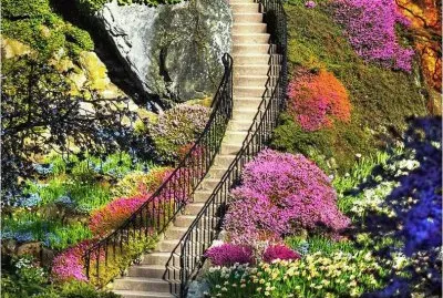flowery steps