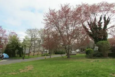 פאזל של Parque Fernando Costa 2 - SP