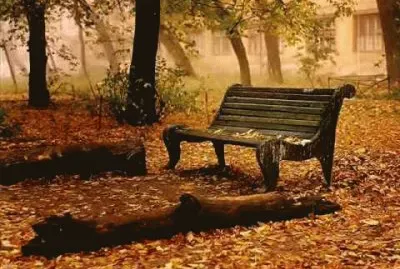 Winter jigsaw puzzle