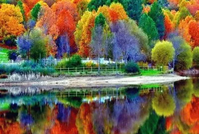Maravilla de colores