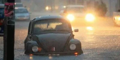 curious jigsaw puzzle