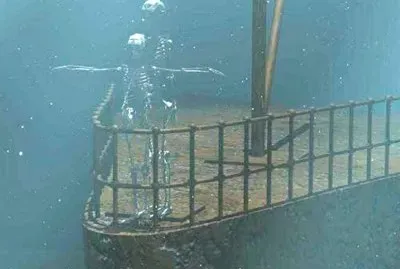 curious jigsaw puzzle