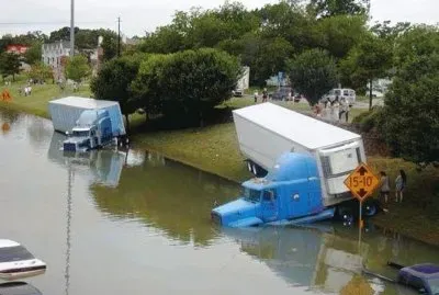 curious jigsaw puzzle