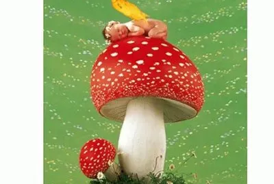 boccioli