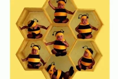 boccioli