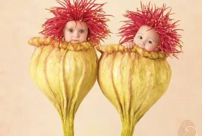 boccioli