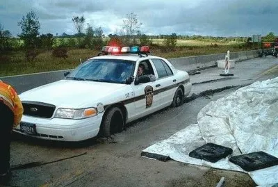 curious jigsaw puzzle