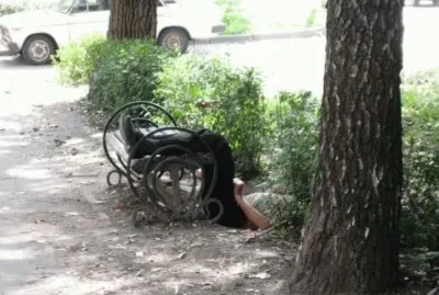 curious jigsaw puzzle