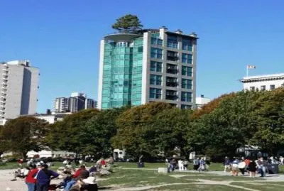 curious jigsaw puzzle