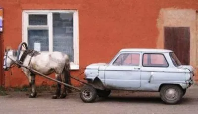 curious jigsaw puzzle