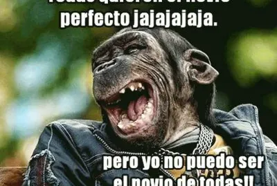 curious jigsaw puzzle