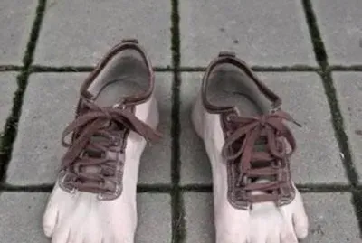 curious jigsaw puzzle