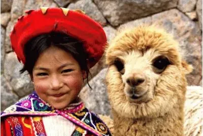 Child with Lama  Peru jigsaw puzzle