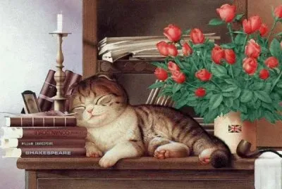 Gatos