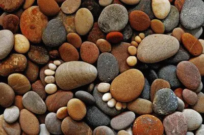 curiositÃ  jigsaw puzzle