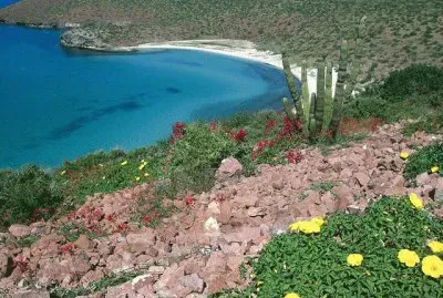 Paisagem Boliviana