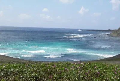 Fernando de Noronha-Brasil