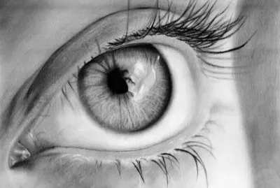 פאזל של Miradas puras