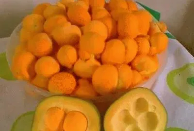 Pequi do Serrado brasileiro jigsaw puzzle