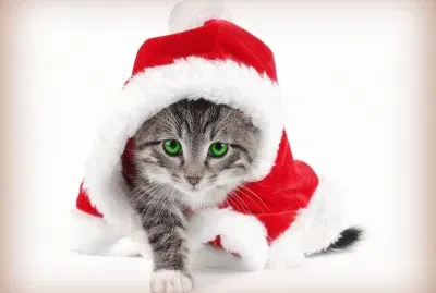 gatet