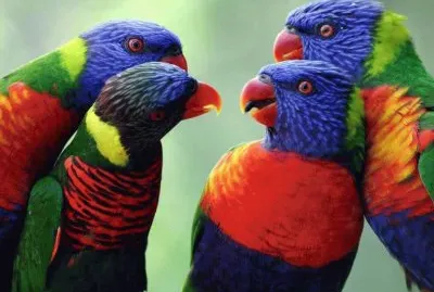 things jigsaw puzzle