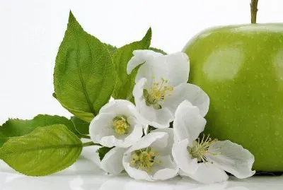 Flors