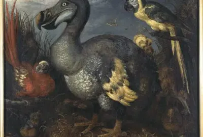 natureza jigsaw puzzle