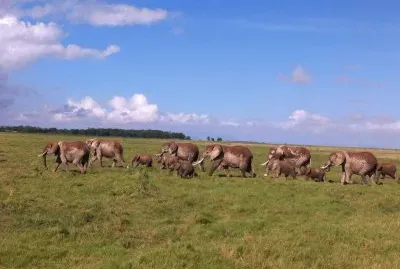Manada de Elefanges